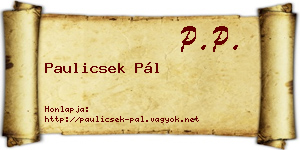 Paulicsek Pál névjegykártya