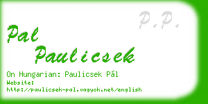 pal paulicsek business card